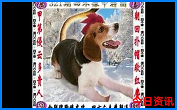 昆明景点必去十大景点